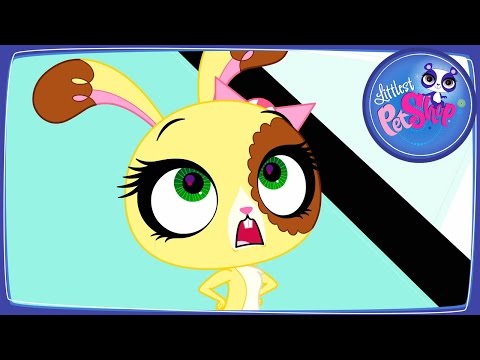 Видео: Мультфильм ПетШоп. Кондитеры и мошенники