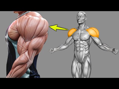 Видео: 11 упражнений, которые помогут накачать плечи в рекордные сроки