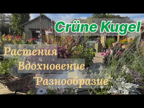 Видео: Садовый центр GRÜNE KUGEL ☘️- такого разнообразия я ещё не видела ☘️ 