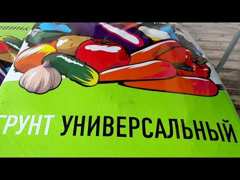 Видео: КНЯЖЕНИКА.КАК САЖАТЬ В КОНТЕЙНЕРЫ- ОПИСАНИЕ ВЫРАЩИВАНИЯ САЖЕНЦЕВ ОСЕНЬЮ.