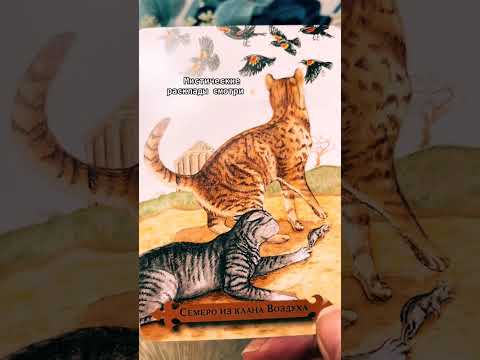 Видео: ЧЕГО ОН ХОЧЕТ НА САМОМ ДЕЛЕ⁉️ МОРОЧИТ ГОЛОВУ? СЕБЕ ИЛИ ТЕБЕ? ПАУЗА ИЛИ КОНЕЦ ОТНОШЕНИЙ ⁉️