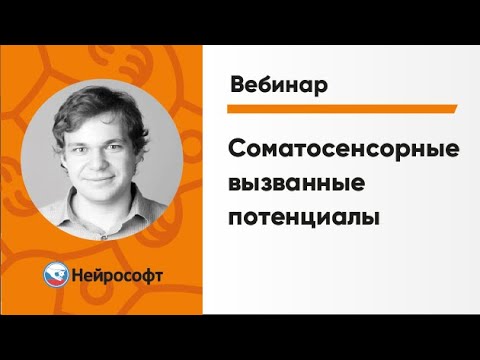 Видео: Соматосенсорные Вызванные Потенциалы (ССВП) | ЭМГ и ВП: Экспертные Методики