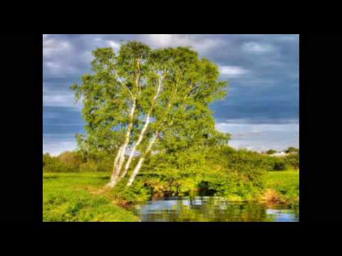 Видео: ВИА "Орэра" - Береза