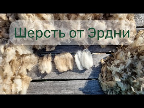 Видео: Распаковка 10 кг шерсти из Калмыкии