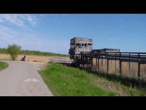 Видео: Рижский залив. Усть-Двинск   10,05,2016