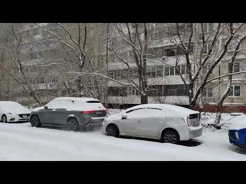 Видео: 502. Хабаровск. ТЦ Шоколад -ТЦ На Пушкина. 09.11.25.