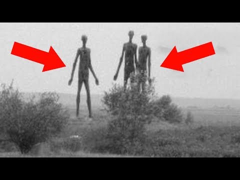 Видео: 6 Самых Страшных Историй Из Параллельных Вселенных