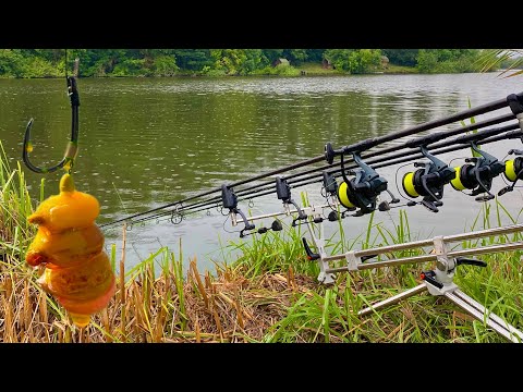 Видео: ОСЬ І ПОЧАВСЯ ЖОР У КОРОПА! Хто би міг подумати, що рибалка так закінчиться… Рибалка з ночівлею