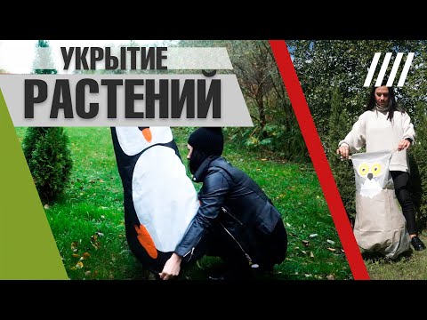 Видео: Укрытие растений  ➔ Укрывные колпаки