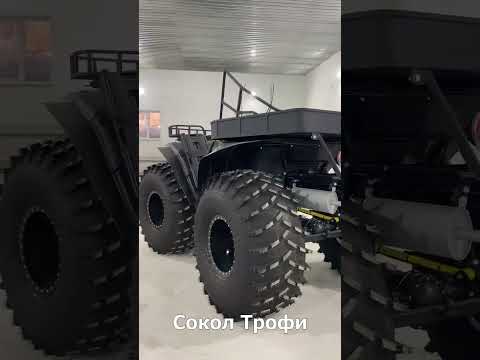 Видео: ВСЕ МОДЕЛИ СОКОЛ