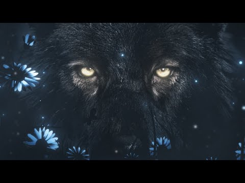 Видео: Как засветить ЛЮБОЙ объект в Adobe After Effects ?