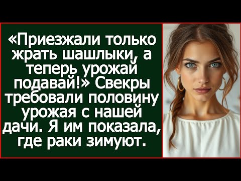 Видео: «Приезжали только жрать шашлыки, а теперь урожай подавай!»