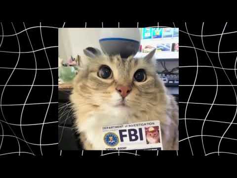 Видео: НОВОСТИ ПО SCP CLASSIFIED SITE | 22.08.25