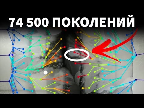 Видео: Самый долгий эволюционный эксперимент [Veritasium]