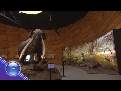 Видео: TOVA E BULGARIA - ZEMYATA NA SIVA-DIONIS / Това е България - Земята на Сива-Дионис, 2017