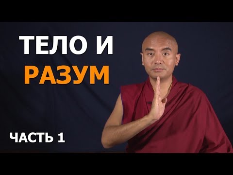 Видео: Тело и разум. Часть 1 | Мингьюр Ринпоче