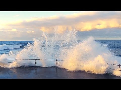 Видео: Евгений Дога и Раймонд Паулс. Мой Ласковый и Нежный Зверь, Долгая Дорога В Дюнах и другие.