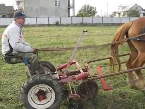 Видео: Коні Ваговози. Білоруська кінна косарка в роботі