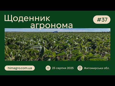 Видео: Як почувається ультрарання соя після 52 днів? Результати обстеження | Щоденник Агронома #37