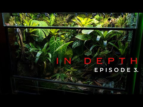 Видео: 180-галлонный рыжий театральный виварий в глубине