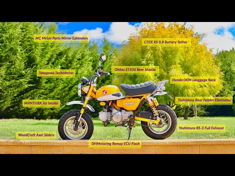 Видео: Honda Monkey 125z Мои 10 модификаций/аксессуаров для этого потрясающего мотоцикла!