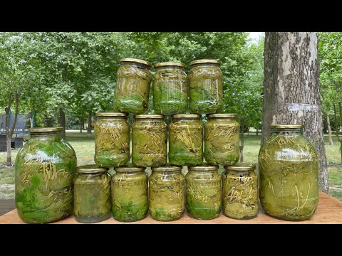 Видео: Самый простой способ сохранить листья винограда свежими на 12 месяцев на зиму