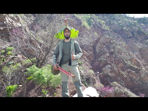 Видео: БАХОР НОРАК ЧАС-2