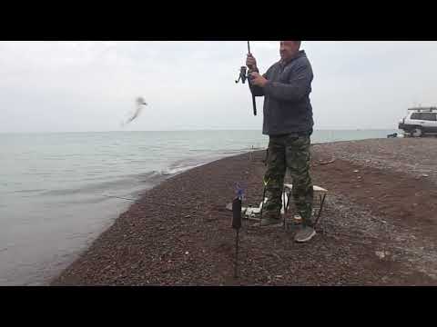 Видео: Рыбалка.Капчагай пятая насосная.
