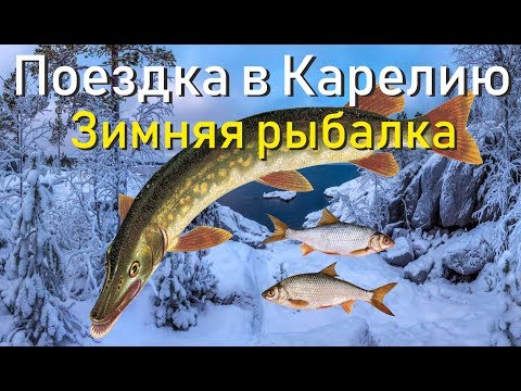 Видео: Зимняя рыбалка в Карелии. оз.Кортеланъярви. База Меклахти.