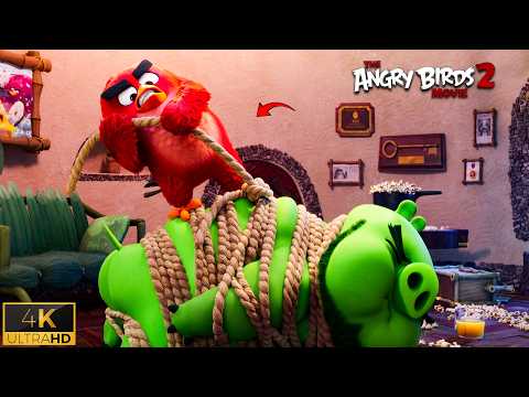 Видео: Смешная сцена со свиньей и красным | Лучшие моменты из фильма Angry Birds 2 (2019)