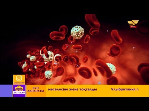 Видео: Қан арқылы адам туралы қандай ақпарат білуге болады?