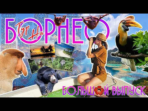 Видео: Тур на Остров Борнео, Малайзия -  Сандакан, Селинган, Кинабантанган