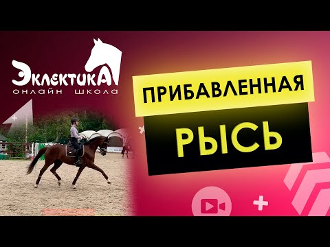 Видео: Прибавленная рысь. Выездка. Конный спорт. Верховая езда