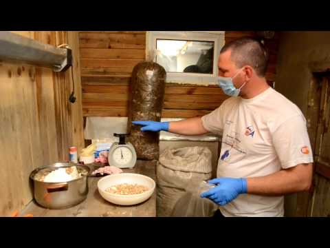 Видео: Инокуляция субстрата в домашних условиях, как готовить грибной блок