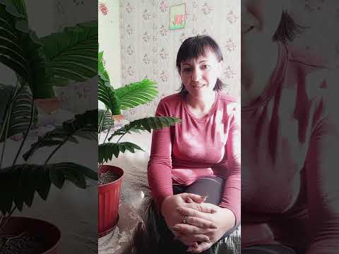 Видео: 27 вересня 2025 р.