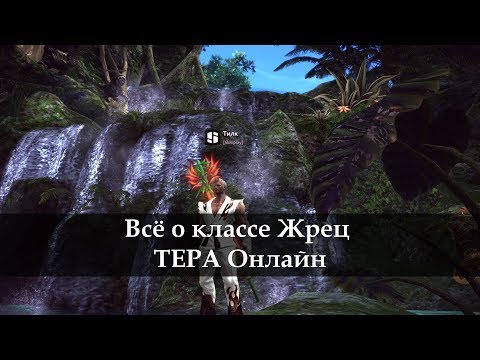 Видео: Гайд по Жрецу ТЕРА онлайн TERA Online 2017