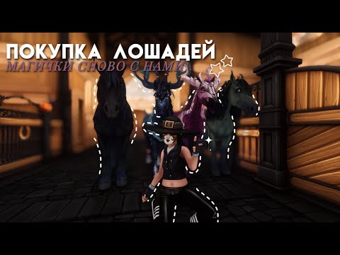 Видео: ПОКУПКА МАГИЧЕСКИХ ЛОШАДЕЙ||STAR STABLE ONLINE