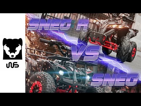 Видео: Обзор на детский электроквадроцикл White Siberia Sneg R