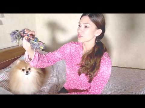 Видео: ЛЮБИМЫЕ ИГРУШКИ МОЕЙ СОБАКИ