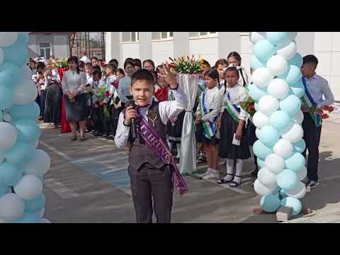 Видео: 12 ноября 2025 г.