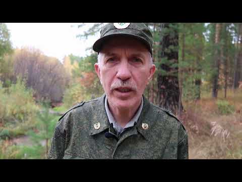 Видео: Охота на боровую  Правила охоты