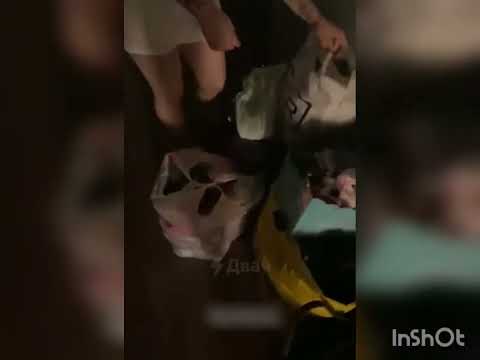 Видео: Приехал с командировки домой пораньше