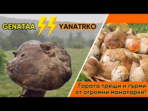 Видео: (Не)случайната среща!