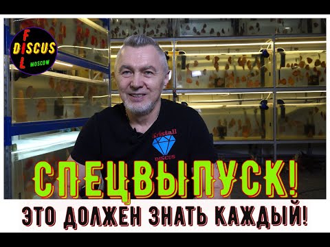 Видео: Это волшебное лечение!