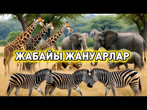 Видео: Жабайы жануарлар | Жабайы жануарлар қалай дыбыстайды? | Балаларға арналған 