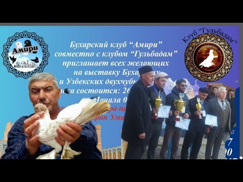 Видео: Выставка Голубей в Бухаре 26Ноябрь2022г Бухарский Клуб Амири совместно Клуб Гульбадам Tauben Pigeons