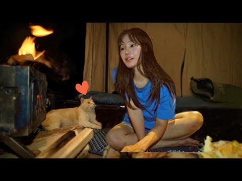 Видео: Почему в походе в одиночестве весело / День, когда маленького счастья много / одинокий кемпинг/кошка