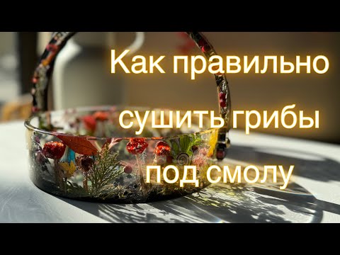 Видео: Как сушить грибы под заливку эпоксидной  смолой