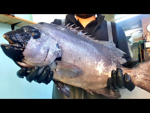 Видео: 3,3 кг 57см большой полосатый клюв Самые вкусные сашими в мире