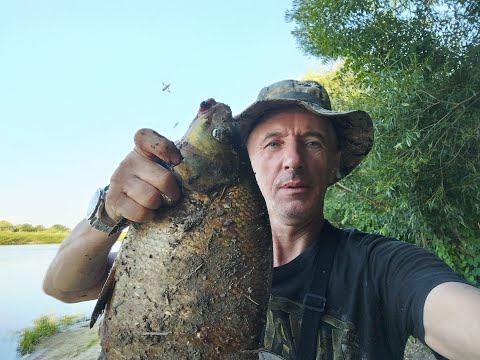 Видео: Припять, щедрая река. Фидерная рыбалка с ночёвкой.